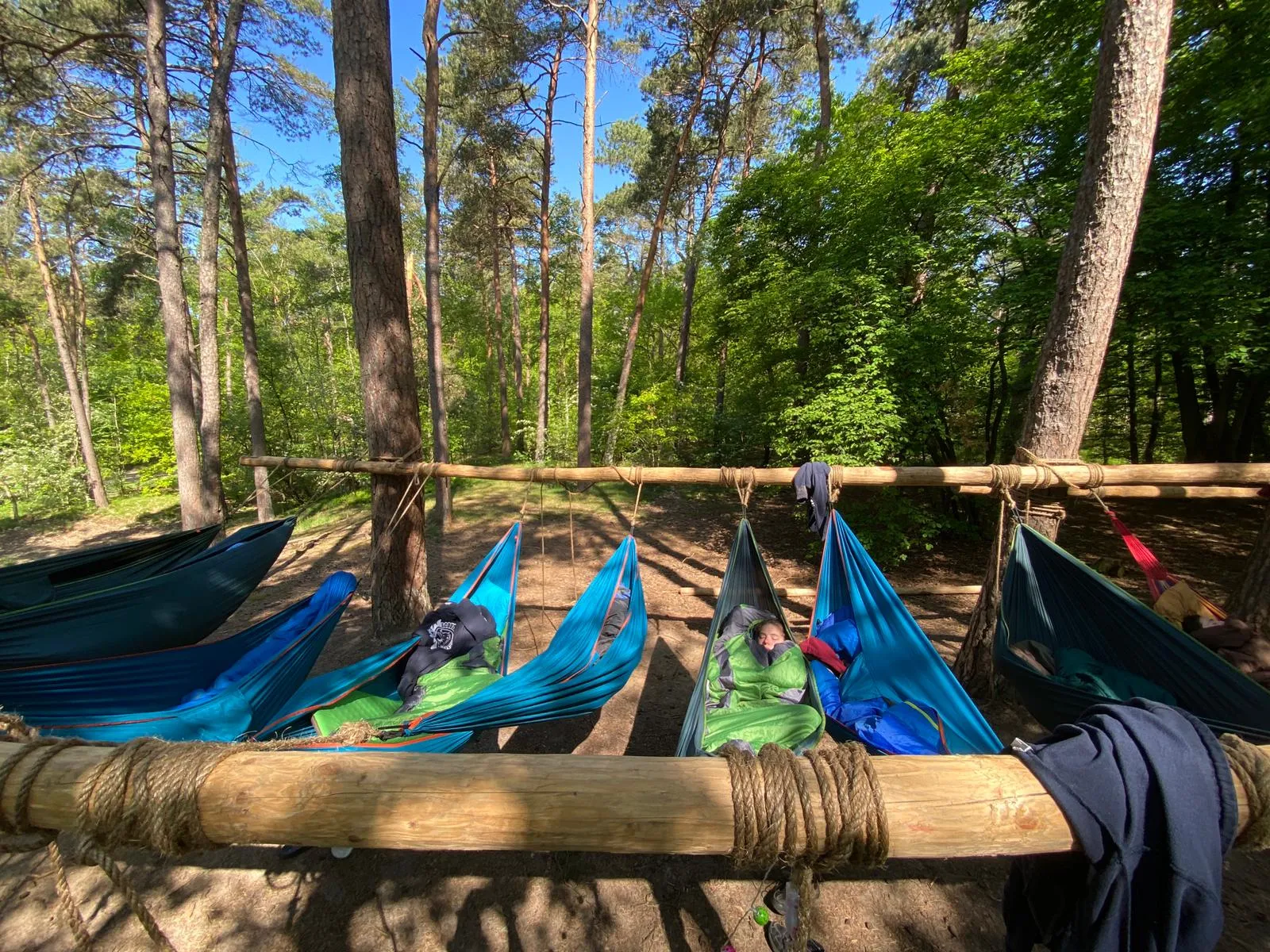 Rij hangmatten aan een zelfgebouwd frame van boomstammen en touw in het bos